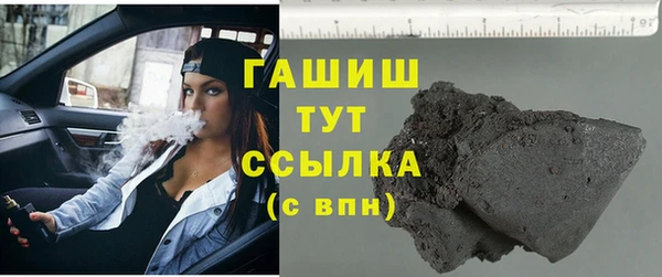 хмурый Аркадак