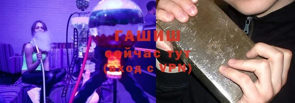 хмурый Аркадак
