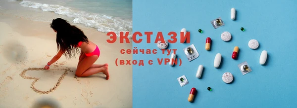 хмурый Аркадак