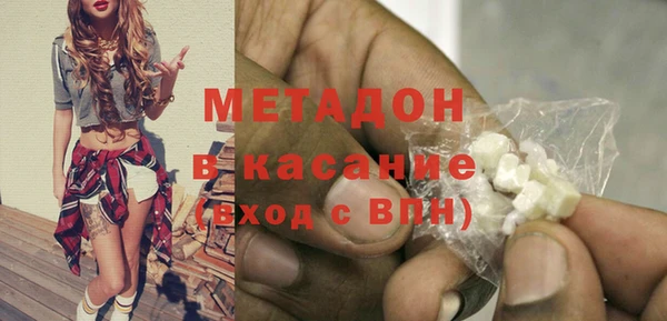 хмурый Аркадак